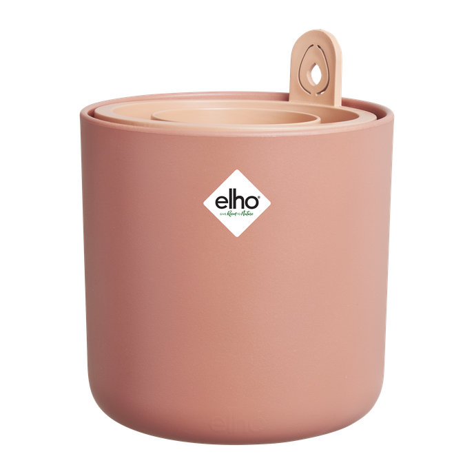 amazing avocado pot terra caramel